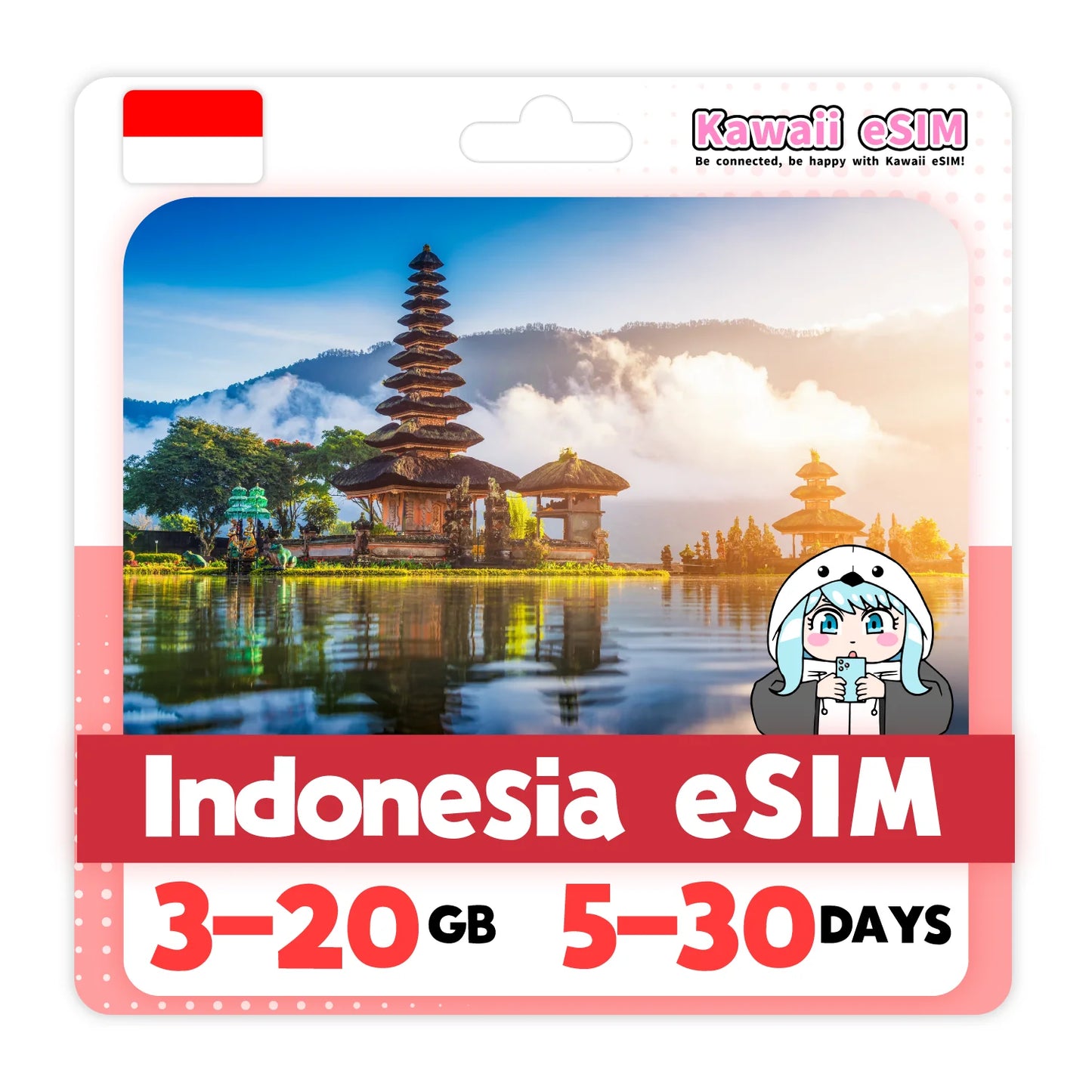 Indonesia eSIM
