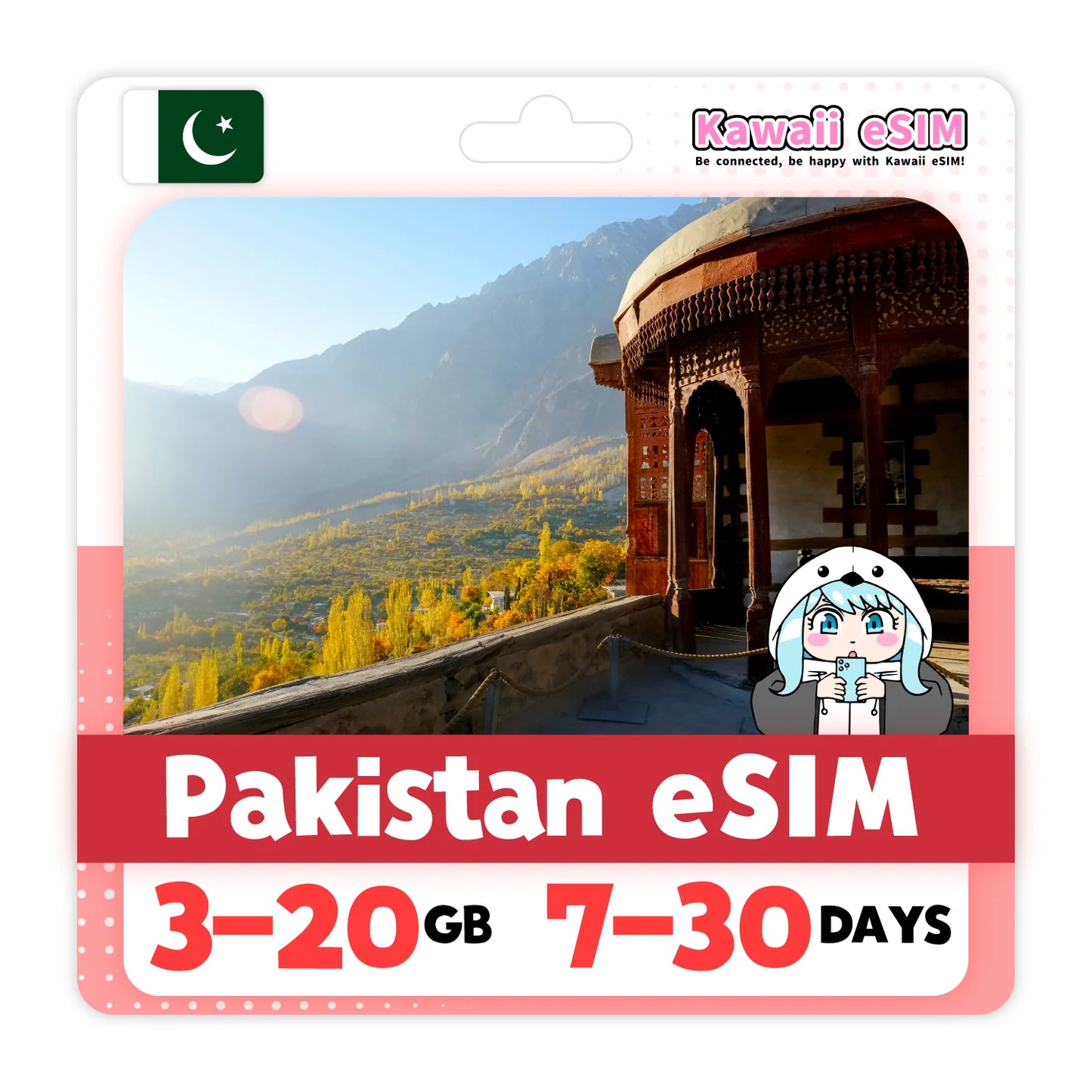 Pakistan eSIM