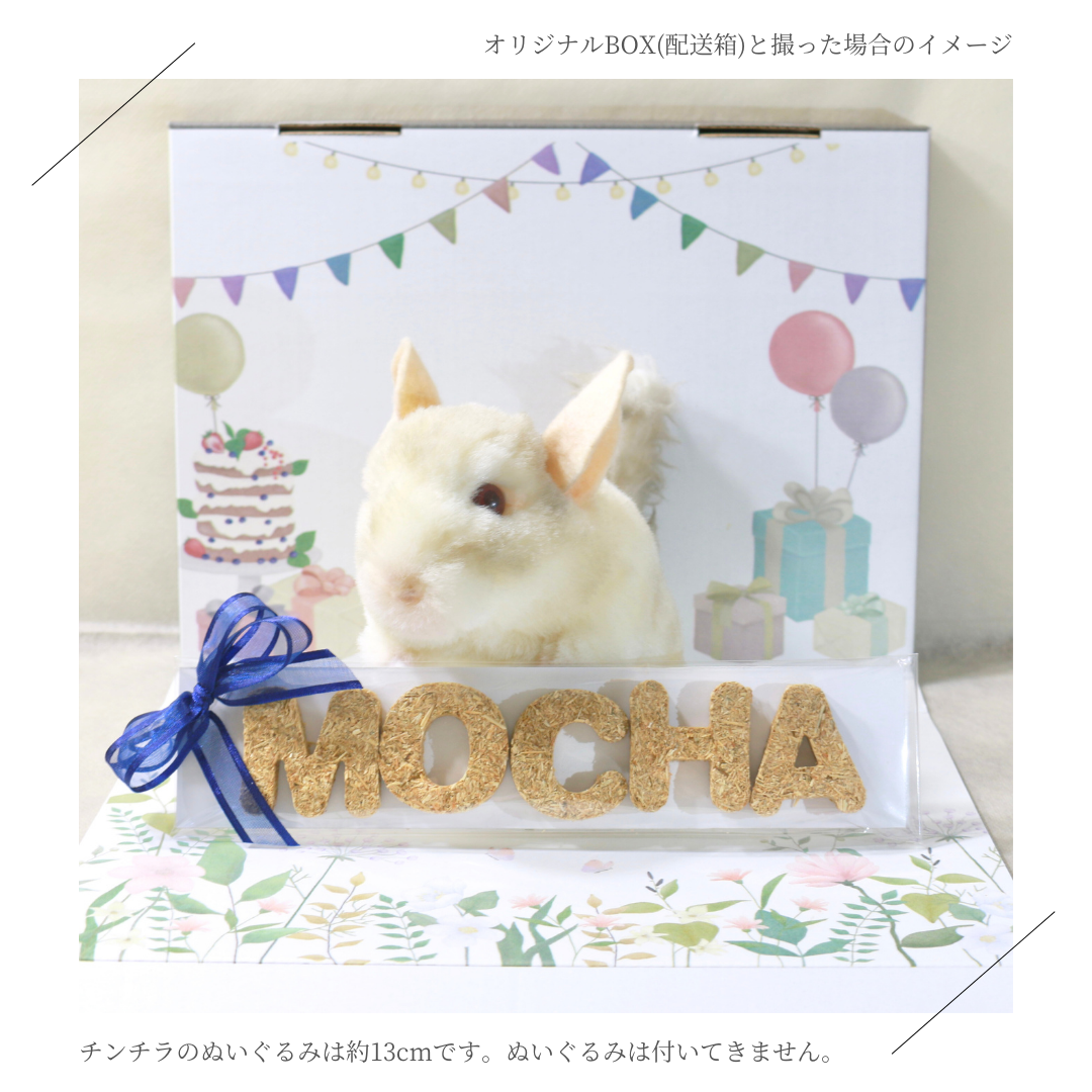 えん麦のカスタムクッキー【小動物用オーツ麦100%おやつ】