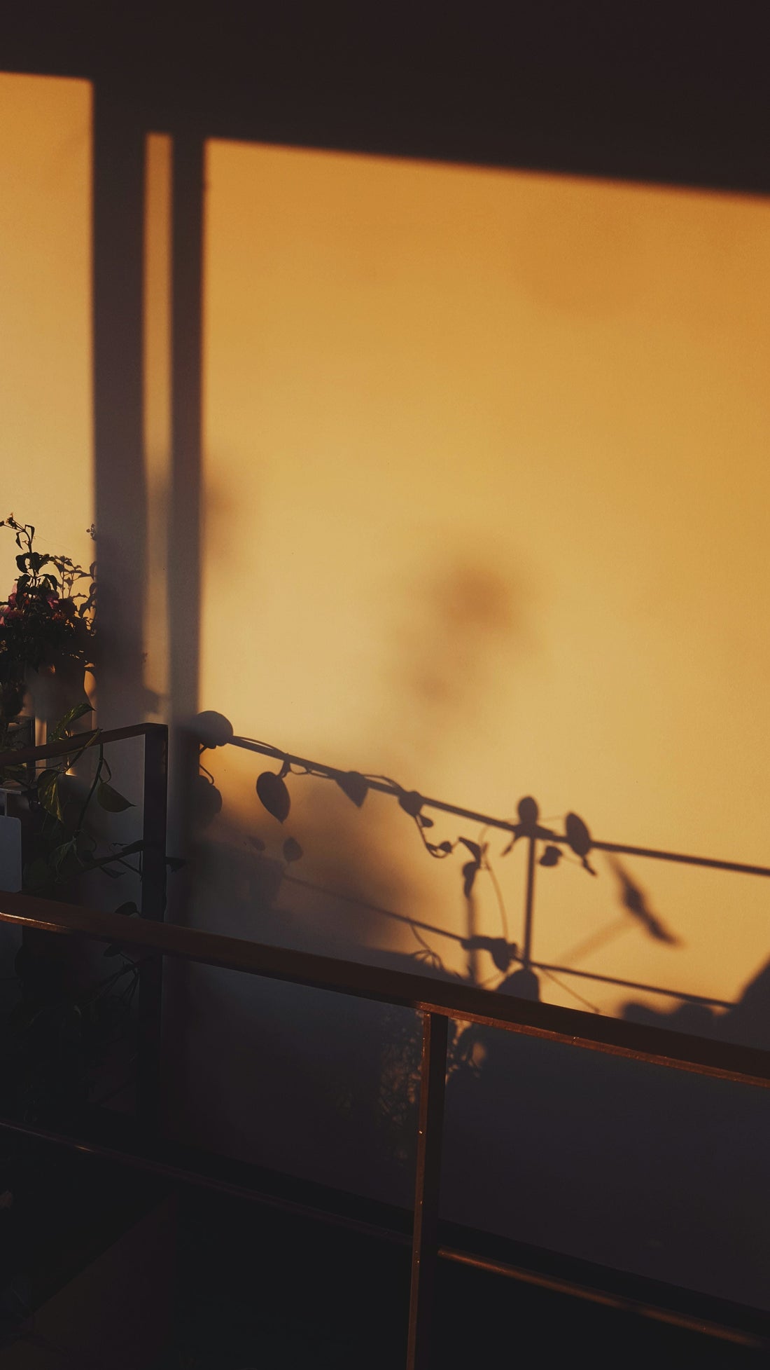 Why Wednesday? — The story behind SUIYOUBI.