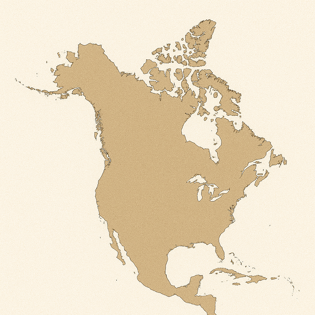 Innovative and practical lifestyle items reflecting North American style.