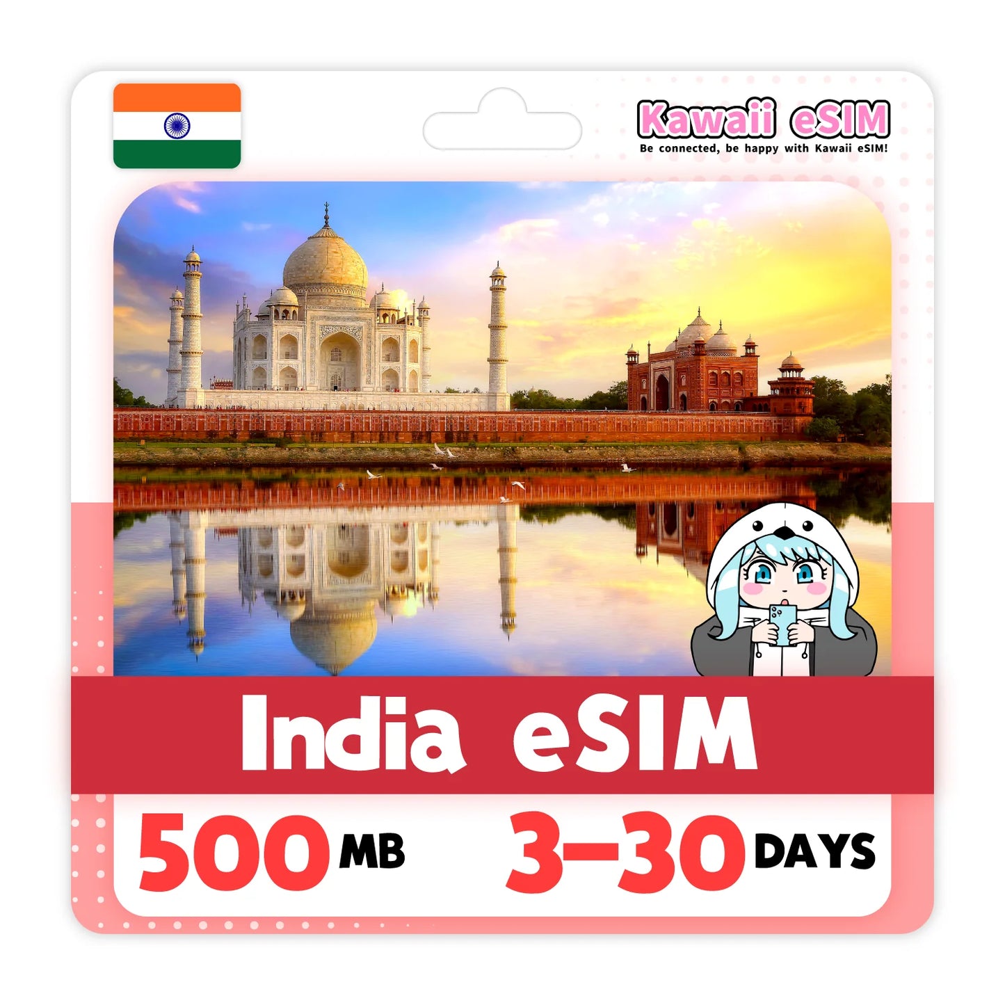 India eSIM