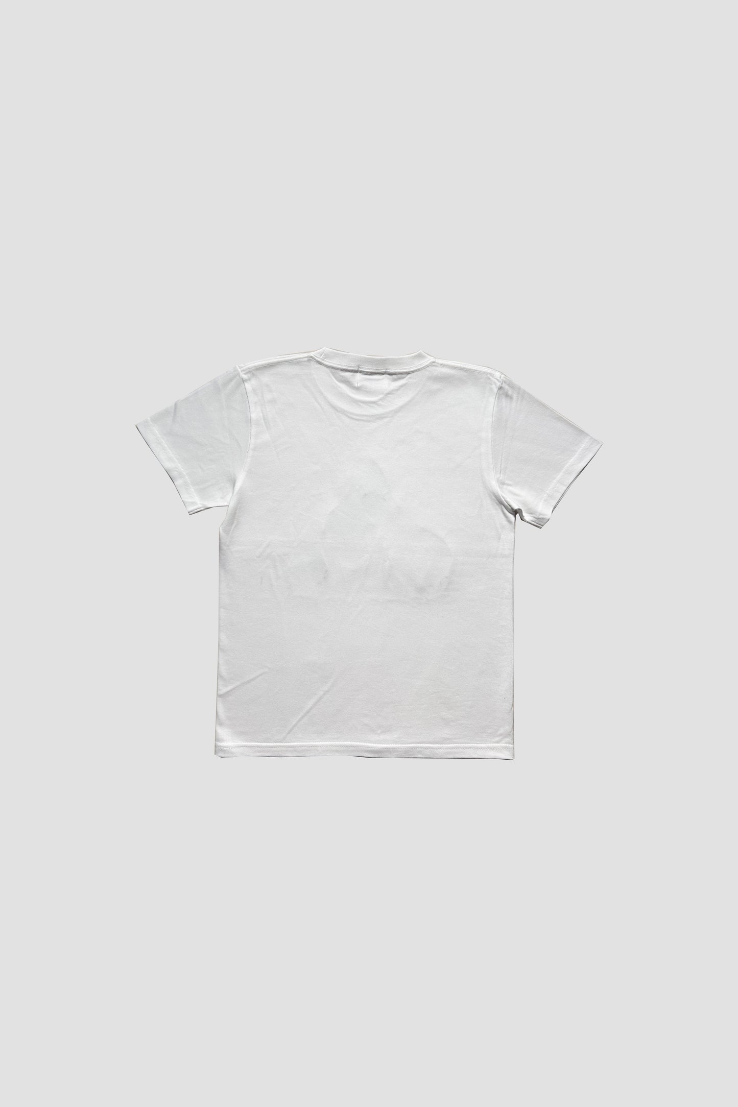 WOMAN's "A" LOGO TEE(CAMO 3)