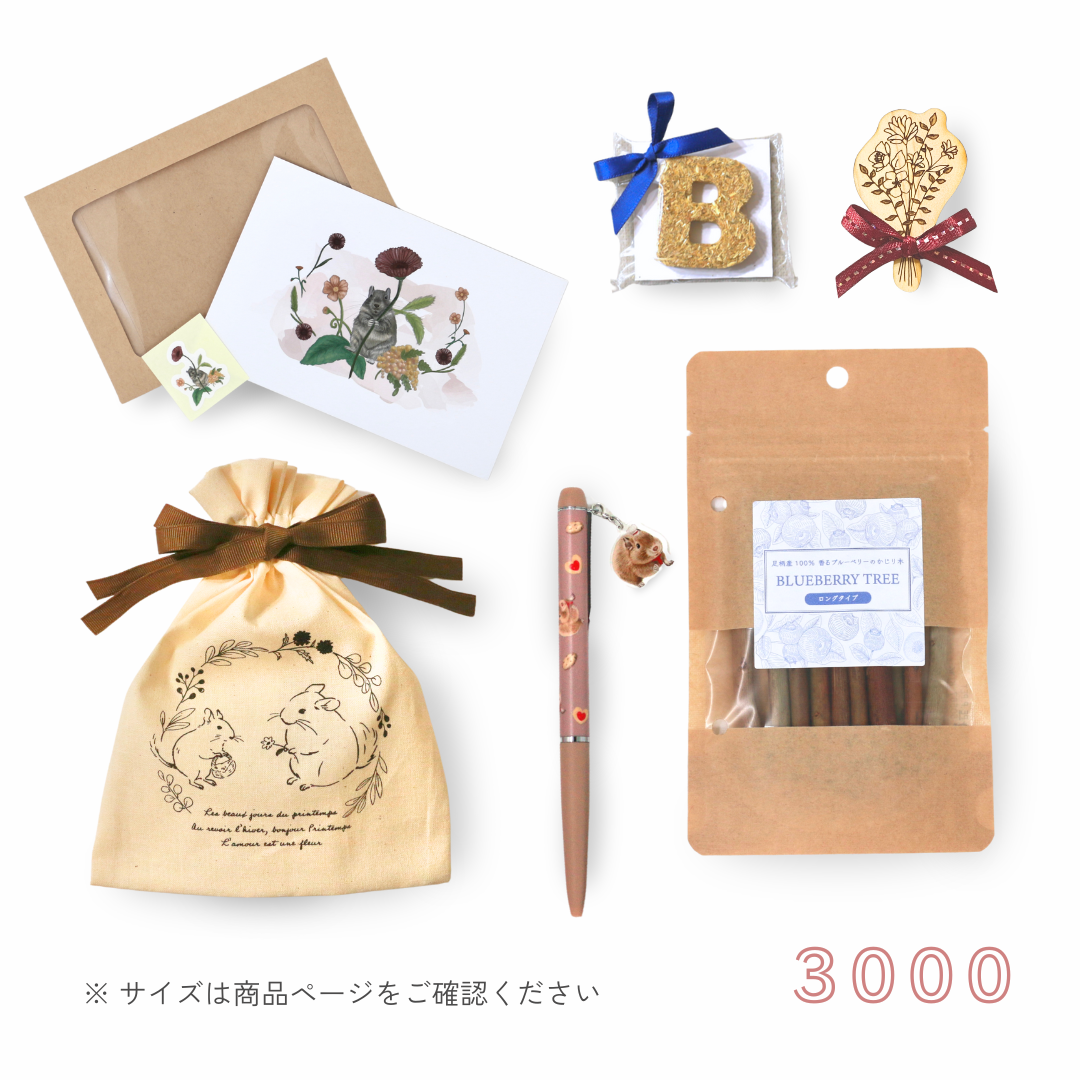 ギフトセット3000