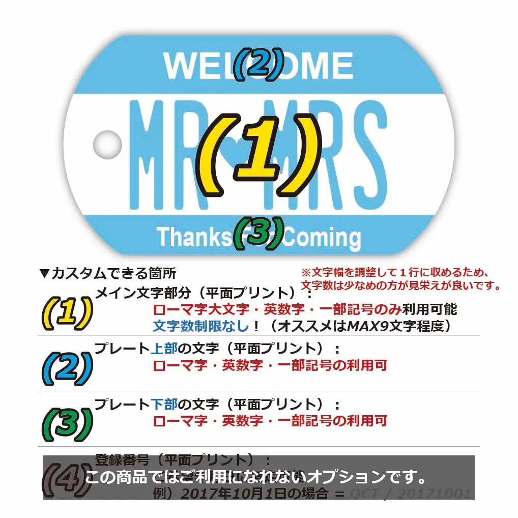 【犬用迷子札・ドッグタグ】カラー・ブルー/オリジナルアメリカナンバープレート型 名入れキーホルダー