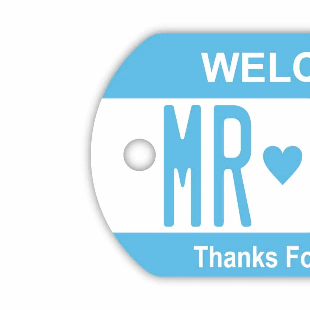 【犬用迷子札・ドッグタグ】カラー・ブルー/オリジナルアメリカナンバープレート型 名入れキーホルダー