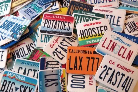 【ミラータグ】ヤシの木・コーラルビーチ/オリジナルアメリカナンバープレート型エアフレッシュナー