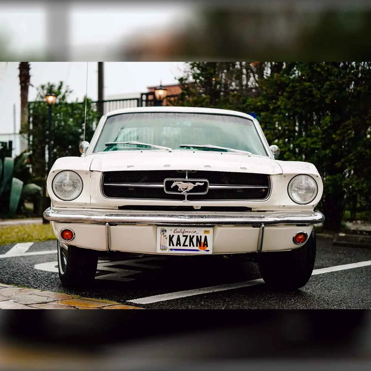 カスタムライセンスプレート型看板 【大・US車用】カリフォルニア・ヤシの木/オリジナルアメリカエンボスナンバープレート おしゃれ表札看板