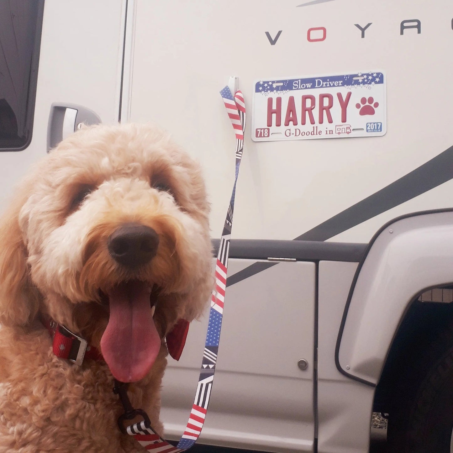 カスタムライセンスプレート型看板 【大・US車用】アラバマ/オリジナルアメリカエンボスナンバープレート おしゃれ表札看板