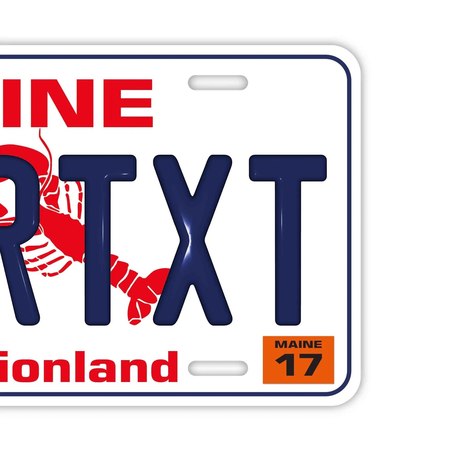 カスタムライセンスプレート型看板 【大・US車用】メイン/オリジナルアメリカエンボスナンバープレート おしゃれ表札看板