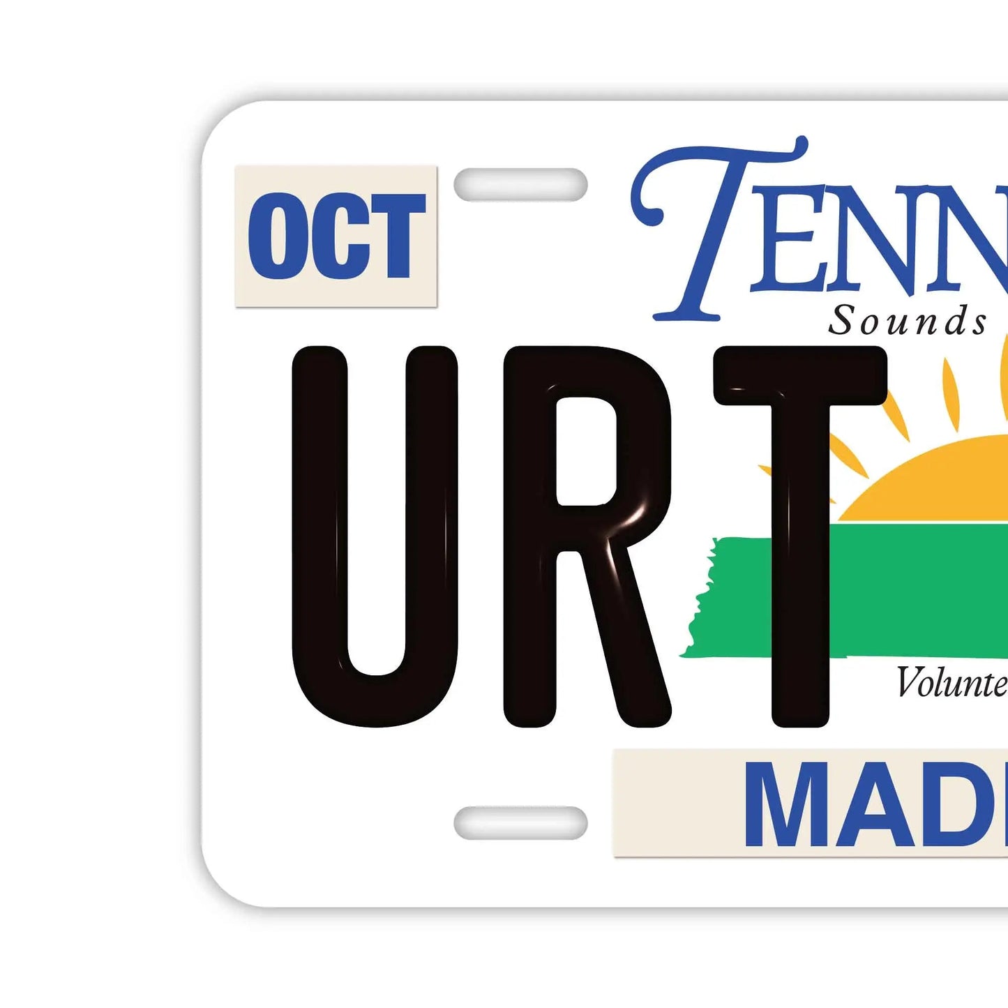 カスタムライセンスプレート型看板 【大・US車用】テネシー/オリジナルアメリカエンボスナンバープレート おしゃれ表札看板