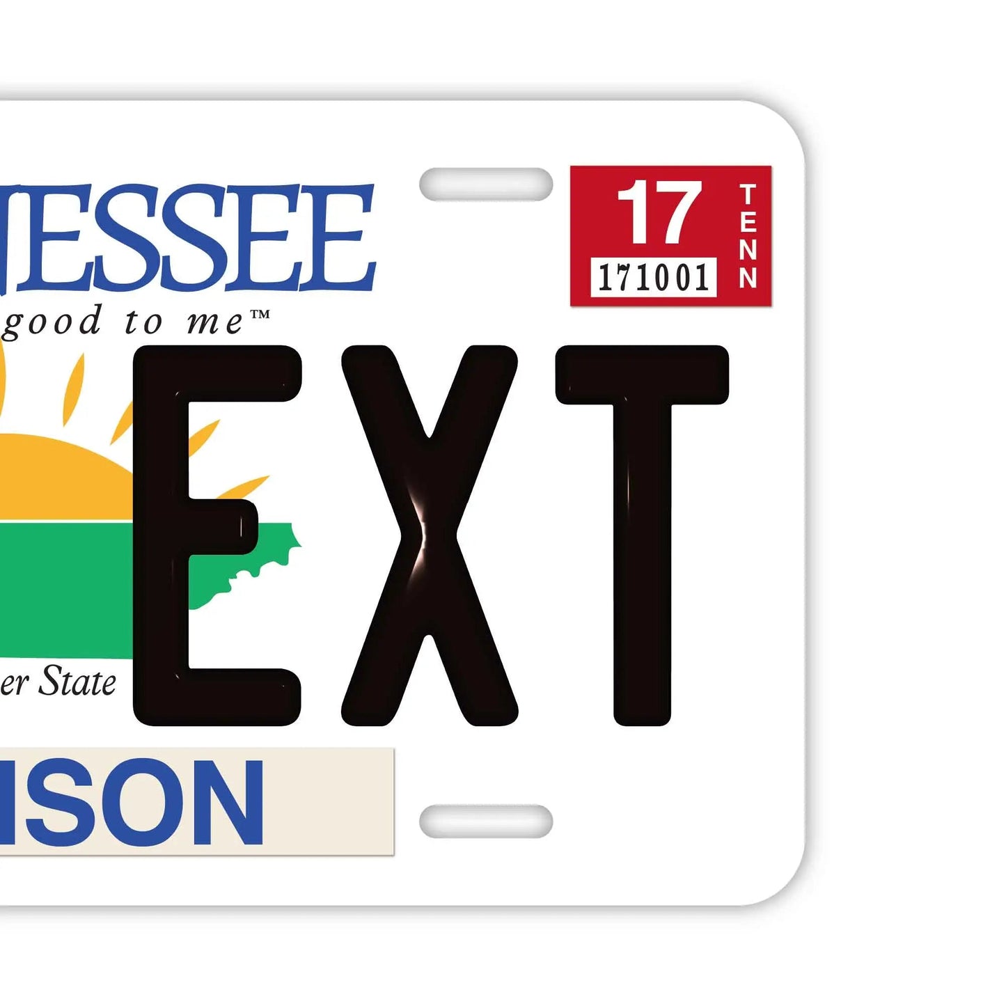 カスタムライセンスプレート型看板 【大・US車用】テネシー/オリジナルアメリカエンボスナンバープレート おしゃれ表札看板