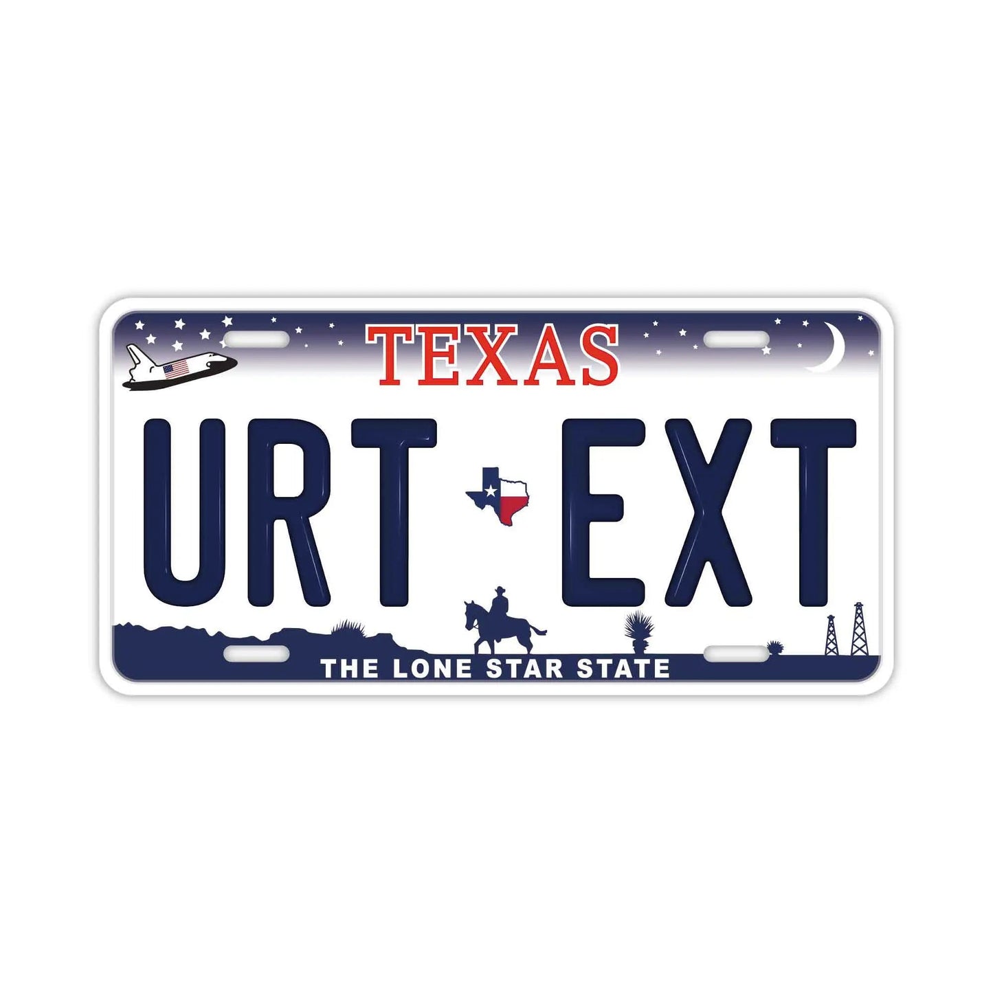 カスタムライセンスプレート型看板 【大・US車用】テキサス/オリジナルアメリカエンボスナンバープレート おしゃれ表札看板