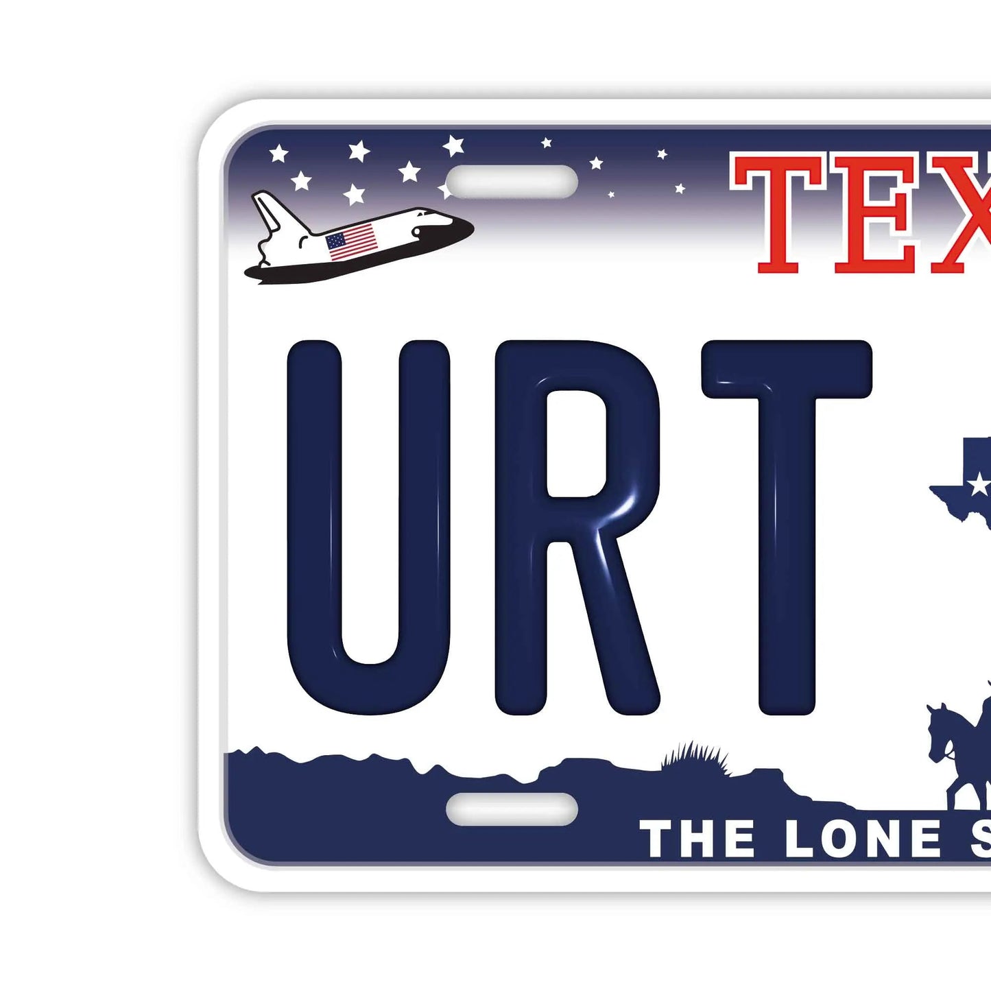 カスタムライセンスプレート型看板 【大・US車用】テキサス/オリジナルアメリカエンボスナンバープレート おしゃれ表札看板