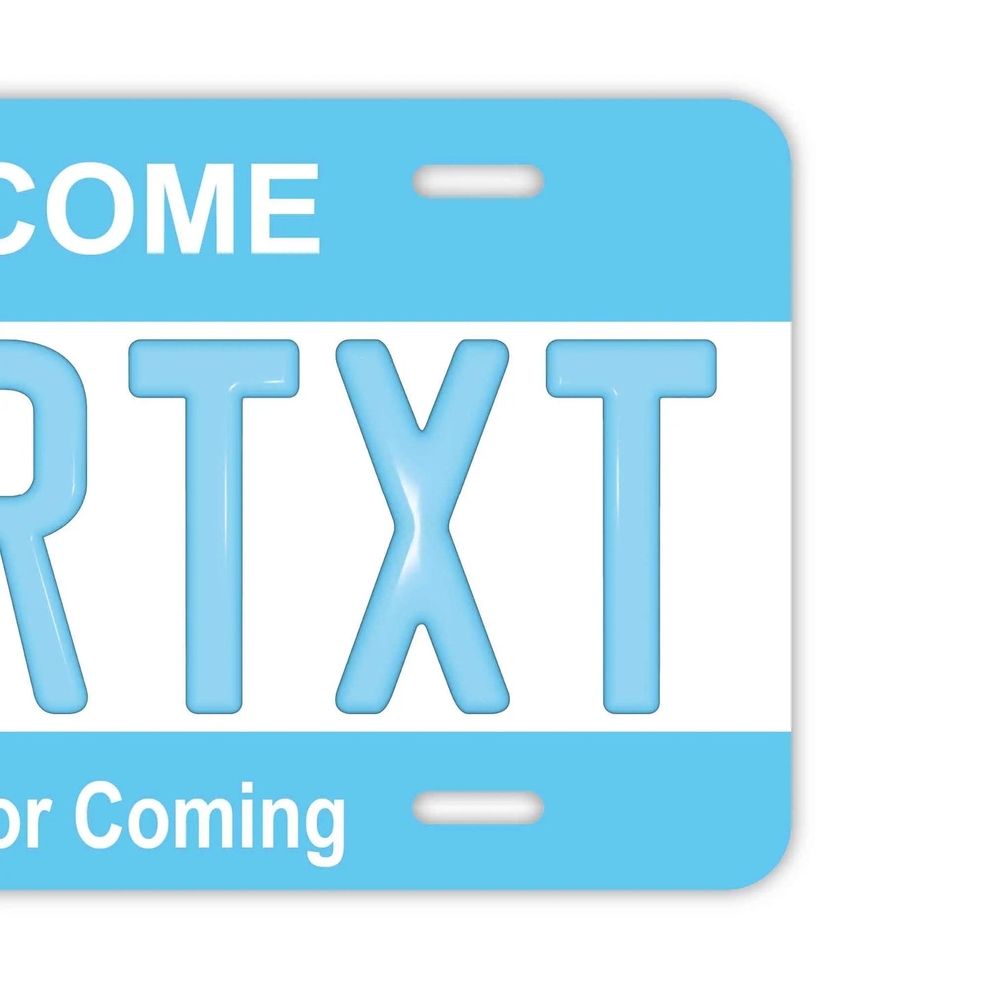 カスタムライセンスプレート型看板 【大・US車用】カラー・ブルー/オリジナルアメリカエンボスナンバープレート おしゃれ表札看板