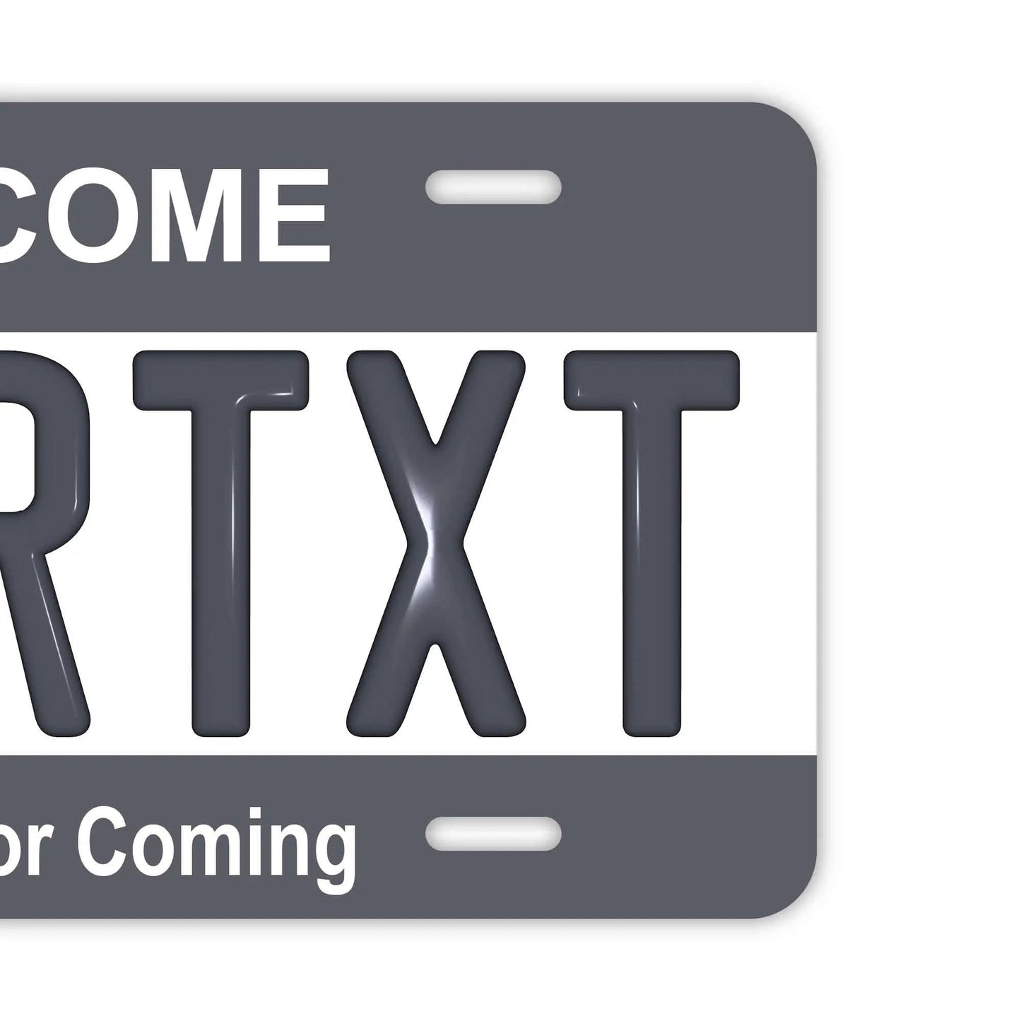 カスタムライセンスプレート型看板 【大・US車用】カラー・グレー/オリジナルアメリカエンボスナンバープレート おしゃれ表札看板