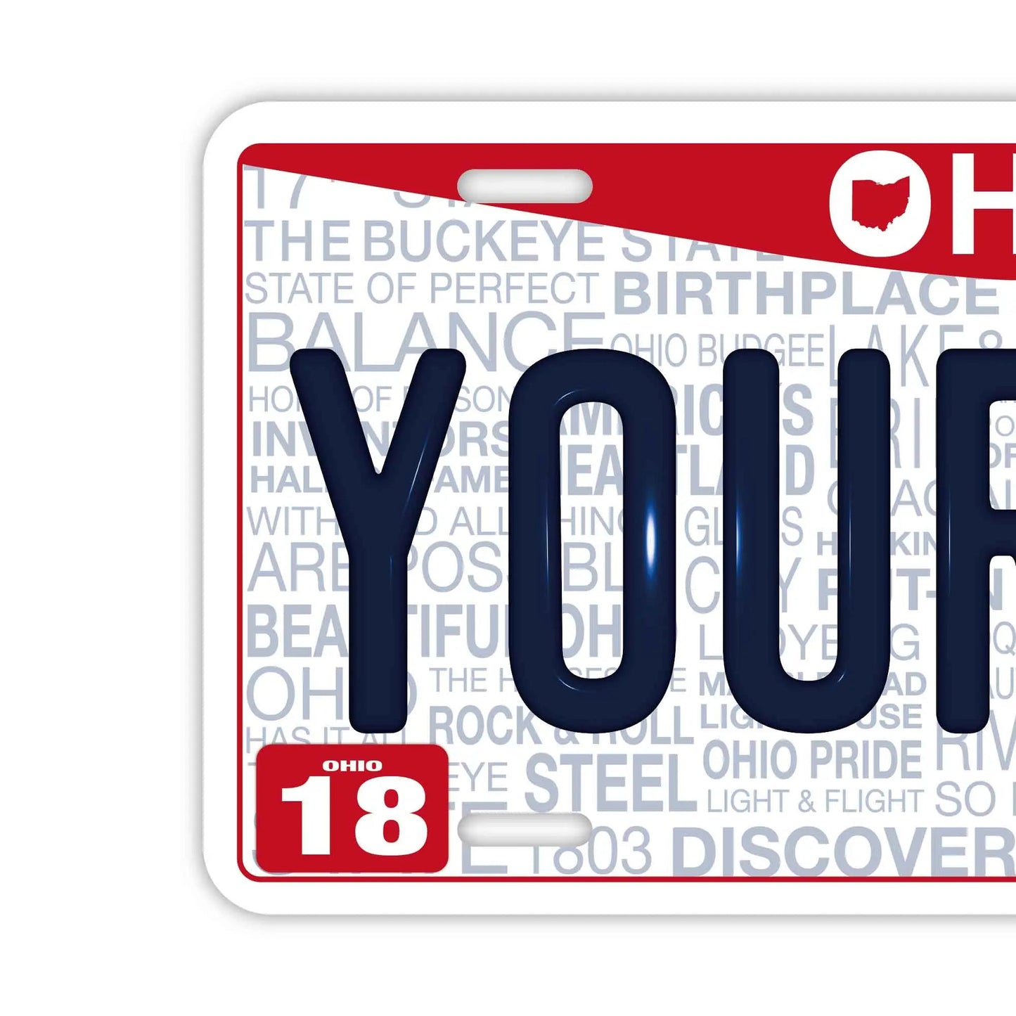 カスタムライセンスプレート型看板 【大・US車用】オハイオ2013/オリジナルアメリカエンボスナンバープレート おしゃれ表札看板