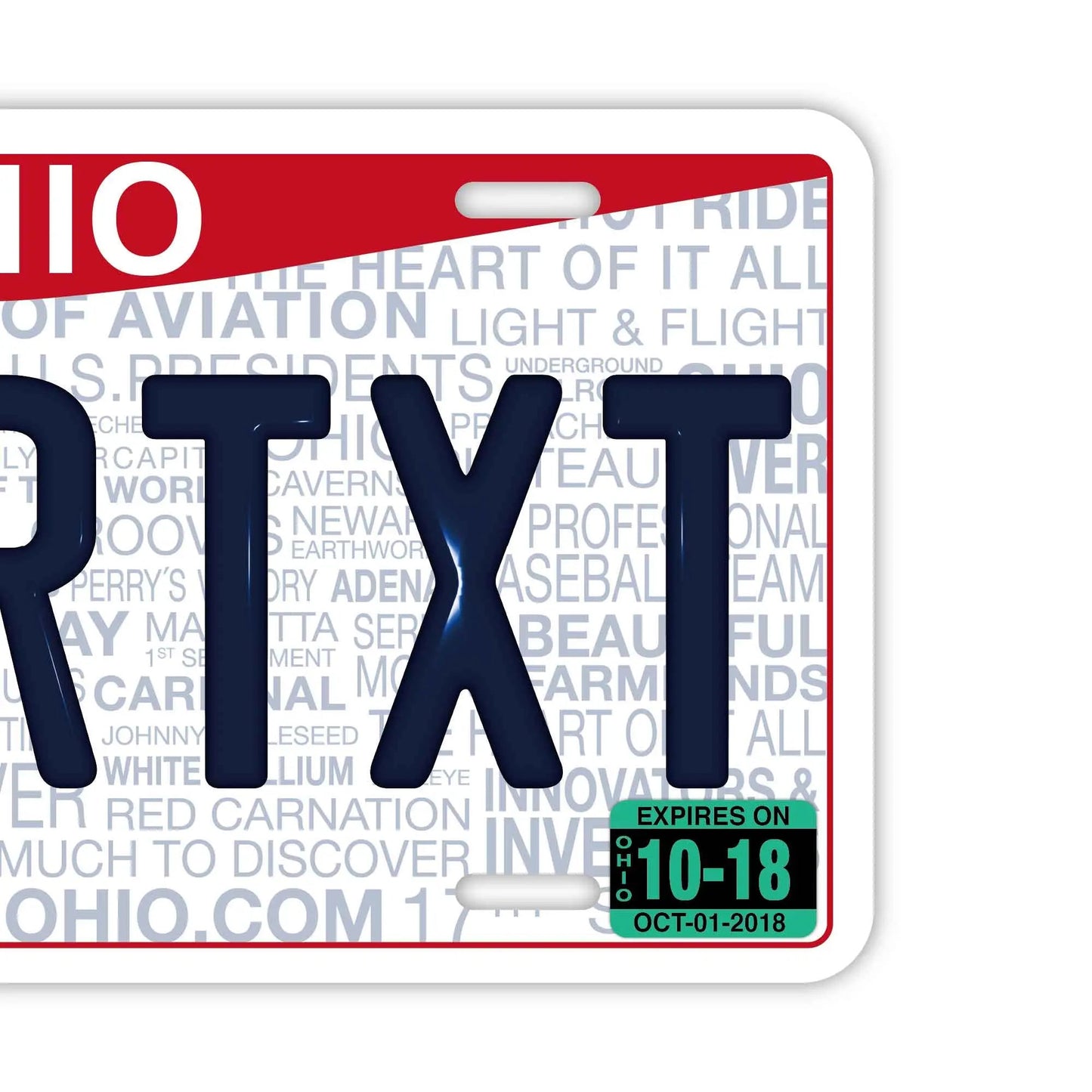 カスタムライセンスプレート型看板 【大・US車用】オハイオ2013/オリジナルアメリカエンボスナンバープレート おしゃれ表札看板