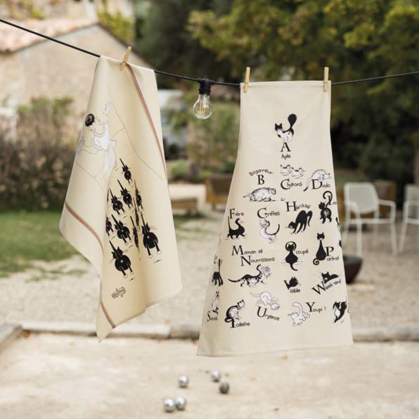 トルション（ 黒猫 ）